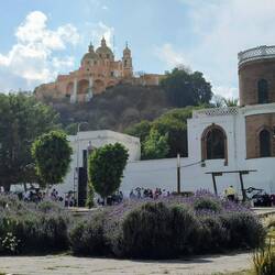Cholula