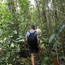 Waldspaziergang mit David, unserem Campingplatzbesitzer