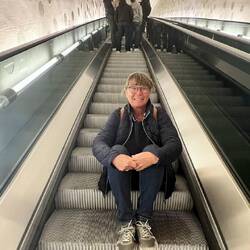 Ab auf die Elphi