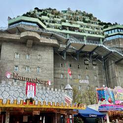 Der begrünte Hochbunker