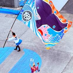 Gigantic Kochi whale tail flag!
