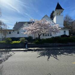 Church und wieder die Kirschblüten