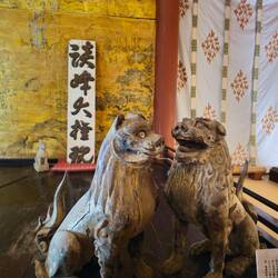 Tigres ? Lions ? En tout cas, trop mignons