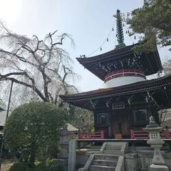 Au Kinpusen-ji