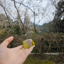 Mochi 1, a pa consistance indescriptible