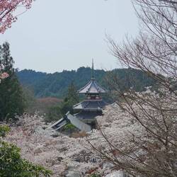 Kimpusen-ji un temple inscrit au patrimoine mondial de l'UNESCO