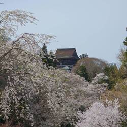 Au loin le Kinpusen-ji
