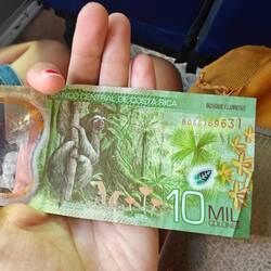 Costa Rica hat, glaube ich, die schönsten Scheine der Welt 😀