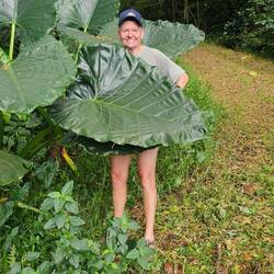 Having a little fun (big fig leaf? 🤣)