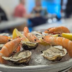 Fresh oysters and shrimp for dinner