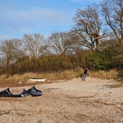 Kite im Baum, (aber sie haben ihn herunter bekommen.)