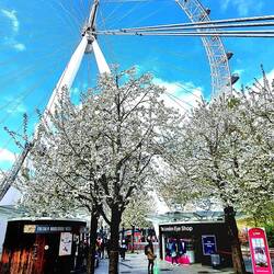 London Eye