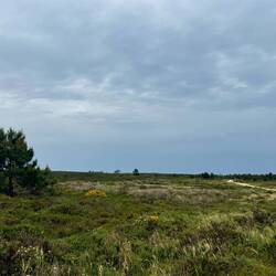 Während der restlichen Etappe auf dieser Schotterpiste hat es kurz richtig angefangen zu regnen.