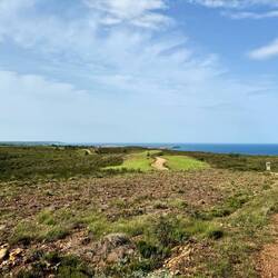 Noch vor dem Mittag führte der Weg wieder zurück ans Meer...