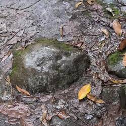 Wie war das nochmal mit Duschen?😅