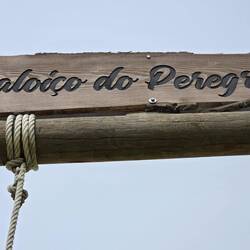 A Swing for Pilgrims