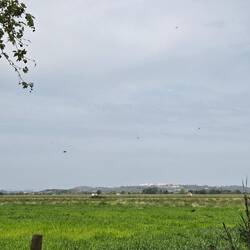 Zoom in. Our first glimpse of destination today, Santerem. Still 5 miles away and high on a hill