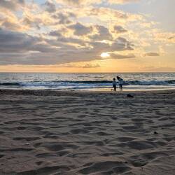 Love is in the air... Zufällig einen Antrag mit eingefangen 🥰☺️