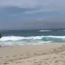 Tanja at the beach 🌊☀️🐚