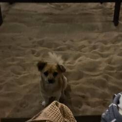 Het geduldig druf gwartet, dass er was abbechunt 🤤😅