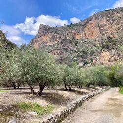 Beginn der Wanderung in Olivares