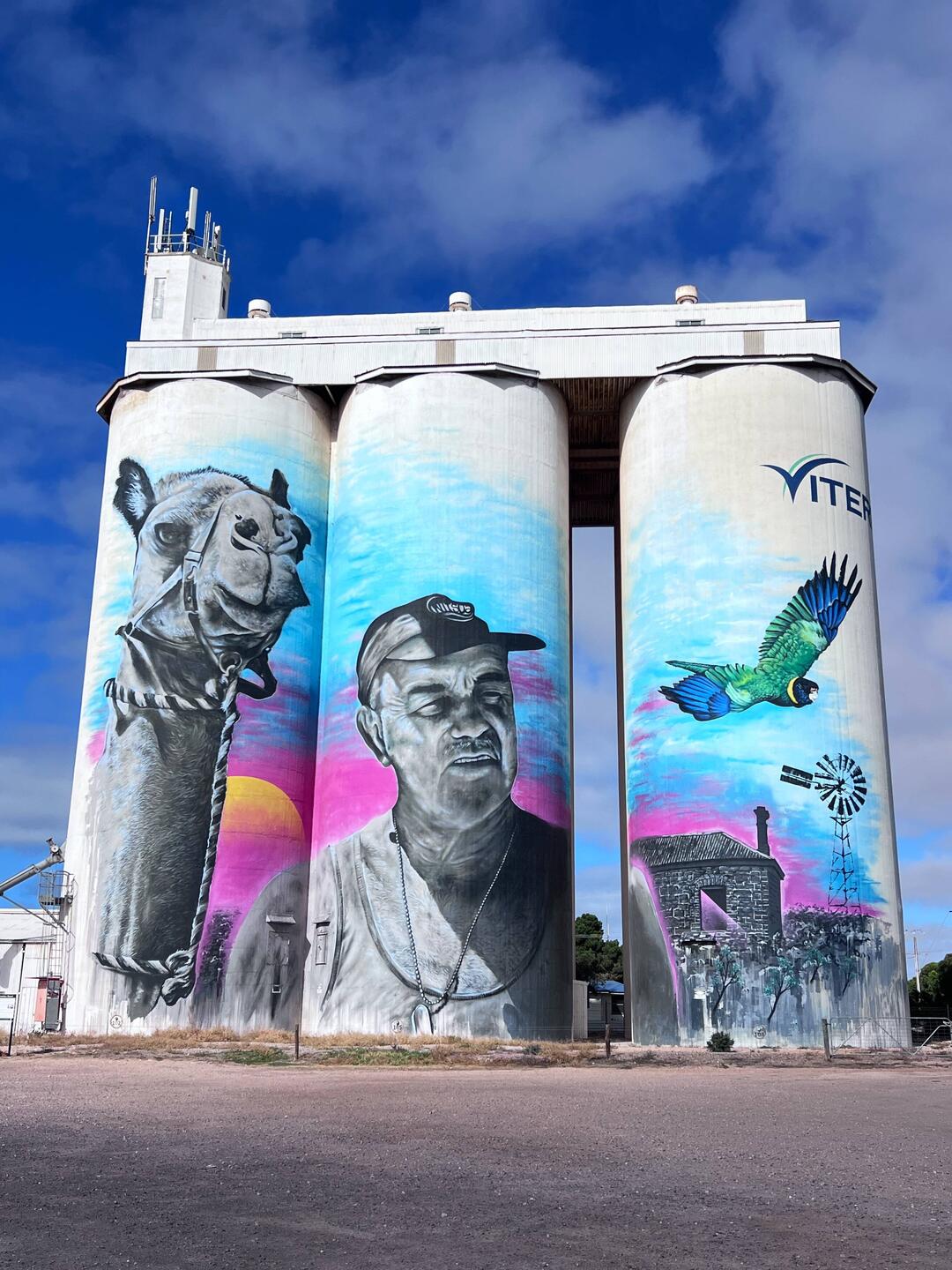 Silo art Cowell