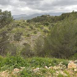 Calima or plain old rain on the way?