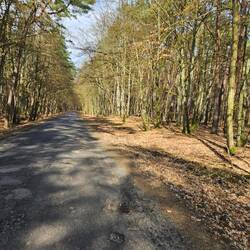 Schöner Weg durch den Nationalpark