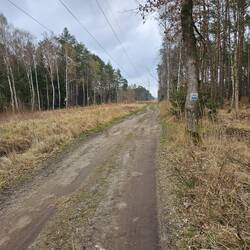 Das nennt sich Radweg