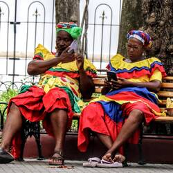 "Fruit vendors" during a Tik-Toc break.