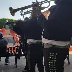 Mariachi-Musiker im Jardín Allende