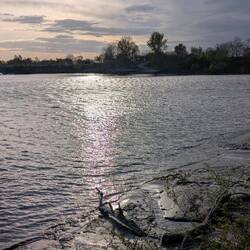 Die Donau im Abendlicht
