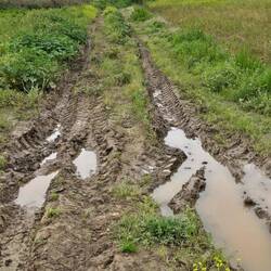 We trudged through miles of this