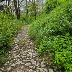 The path of slippery stones