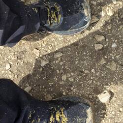 Soaking wet, mud caked shoes