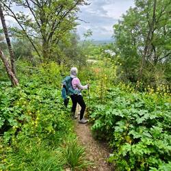 And the path gets narrower and steeper