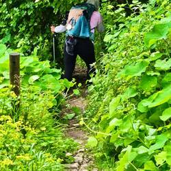 Are we sure this is the right way