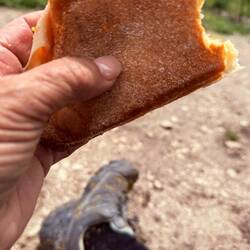 A tasty packed lunch after the rain subsided