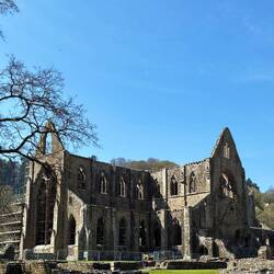 Tintern Abbey