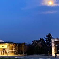 die Dokumenta lässt grüßen