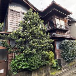 Naga-machi Samuraiviertel