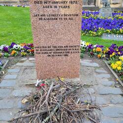 Stöckchen für Bobby