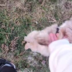 Playing and philosophy at the same time