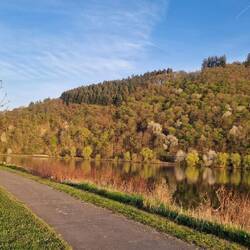 Moselradweg, um diese Jahreszeit wunderbar