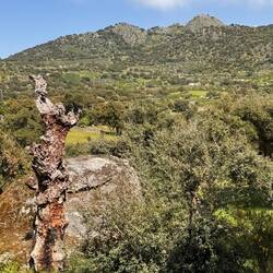 Etwas schwer zu erkennen die Burg