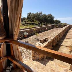 Früher wurden hier Schweine gehalten, allerdings befand sich über dem äußeren Gehege ein Dach