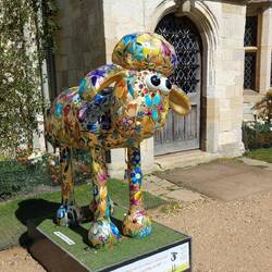 8. Sunshine (zoom in on the caption for a corny joke!)