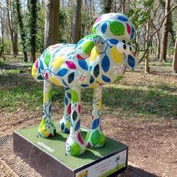 11. Lemon Drop (zoom in on the caption for a corny joke!)