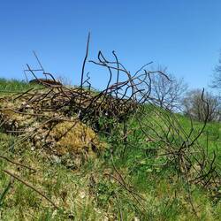 Stahlgerippe der Stellung Thiaumont