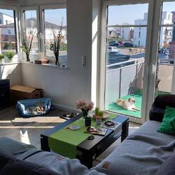 Ganz okay für Maya ;-)